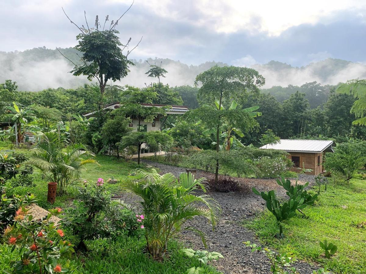True Nature Chiang Mai - Yoga & Meditation Homestay Retreat Exterior photo